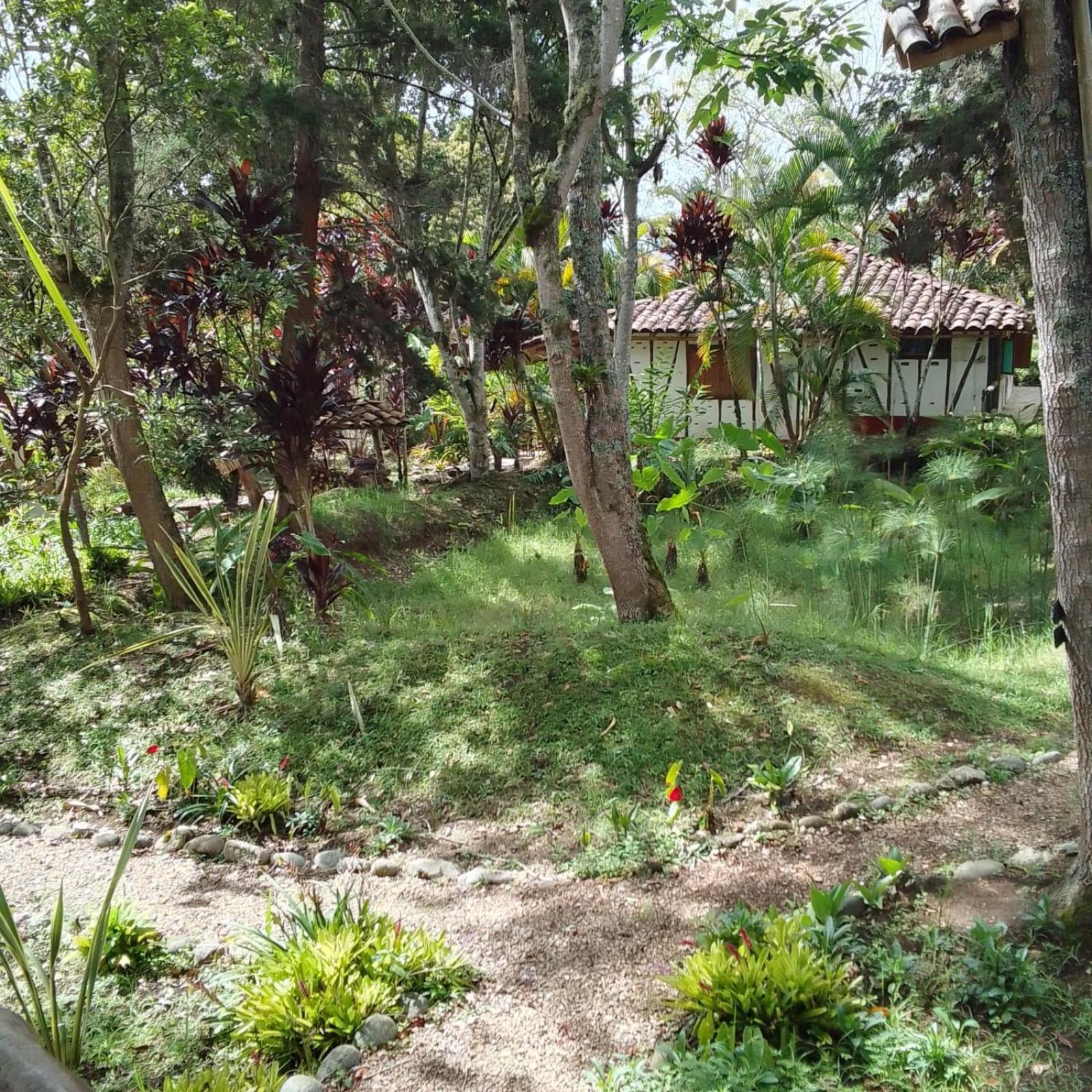 Hotel La Casa De Francois San Agustin  Exterior photo